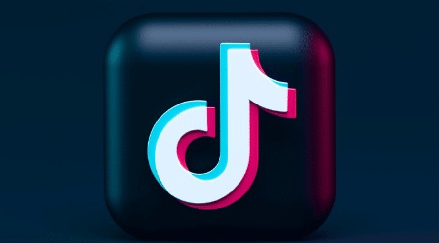 Chill Guy Meme Coin Soars to $500M Market Cap on TikTok FameJust a Chill Guy